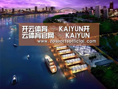 案例展示八