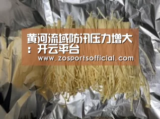 黄河流域防汛压力增大:开云平台(图4) 开云官网
